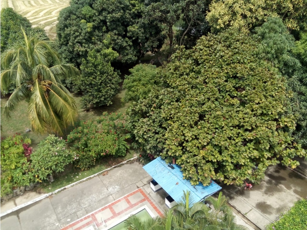VENTA FINCA Y LOTES EN GUAYABAL TOLIMA , AGRICOLA ,CON PLANTACIONES - 6