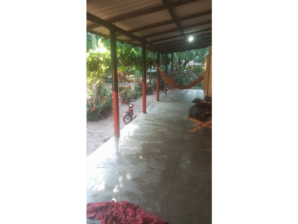 SE VENDE FINCA A PUERTA CERRADA SANTO TOMAS- POLONUEVO - 2