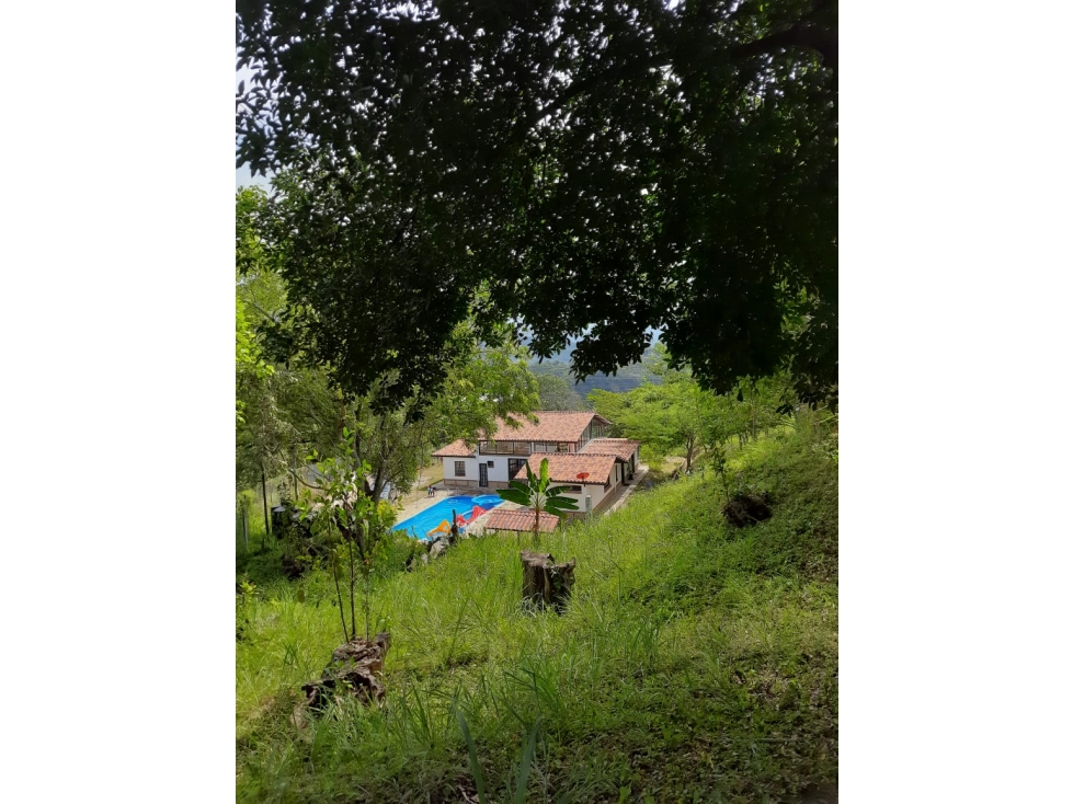 FINCA ANAPOIMA IDEAL PARA DESCANSO , TURISMO O INVERSION - 6