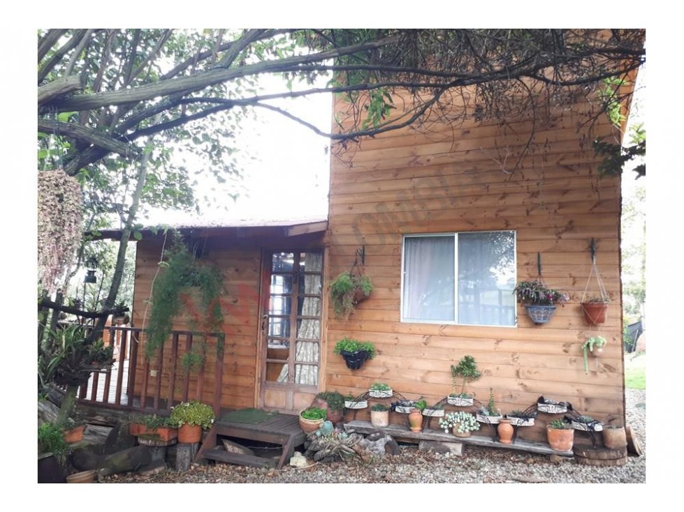 FINCA EN VENTA CON CULTIVO ARANDANOS AZUL SUBACHOQUE - 3