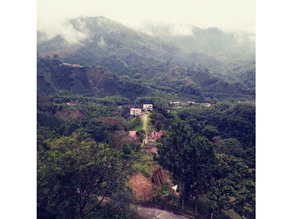 SE VENDE HERMOSO LOTE EN EL SECTOR DE SAN PEREGRINO.