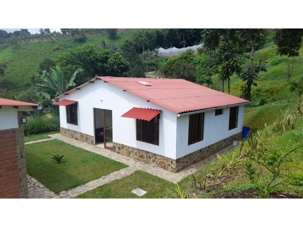 SE VENDE LOTE CON CASA EN LA VEREDA LA CABAÑA, MANIZALES. — foto 3