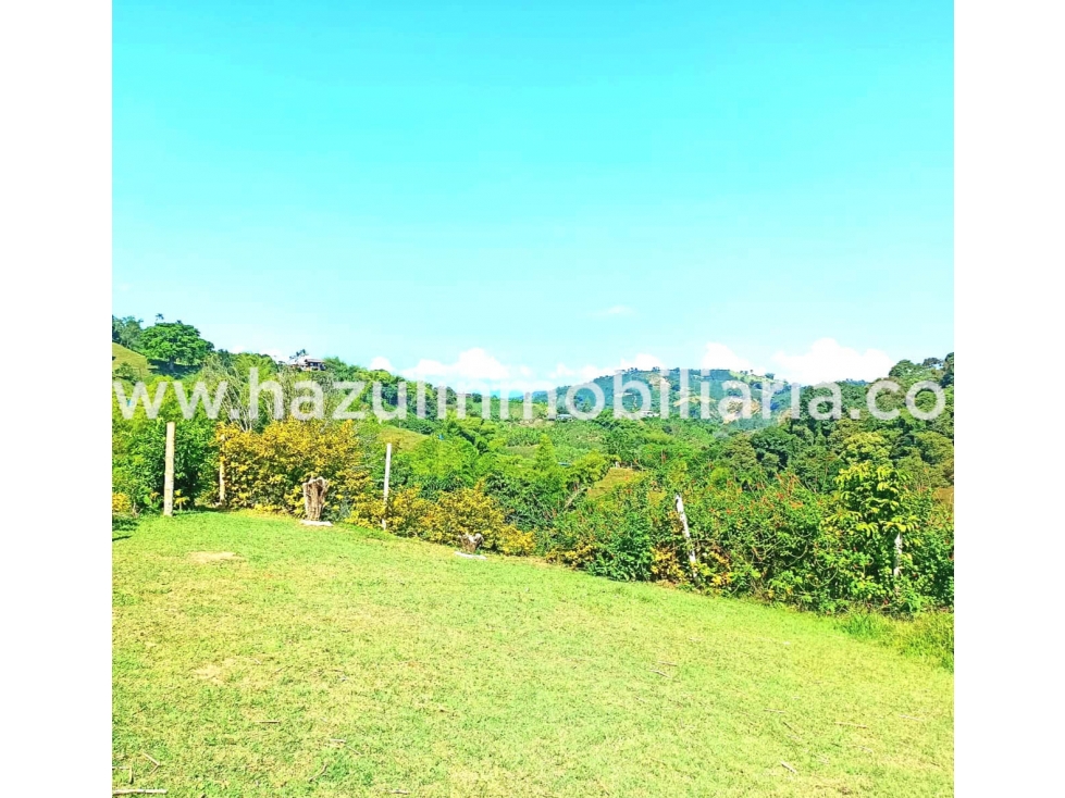 Venta de finca, Vereda la China Manizales, Caldas — foto 3