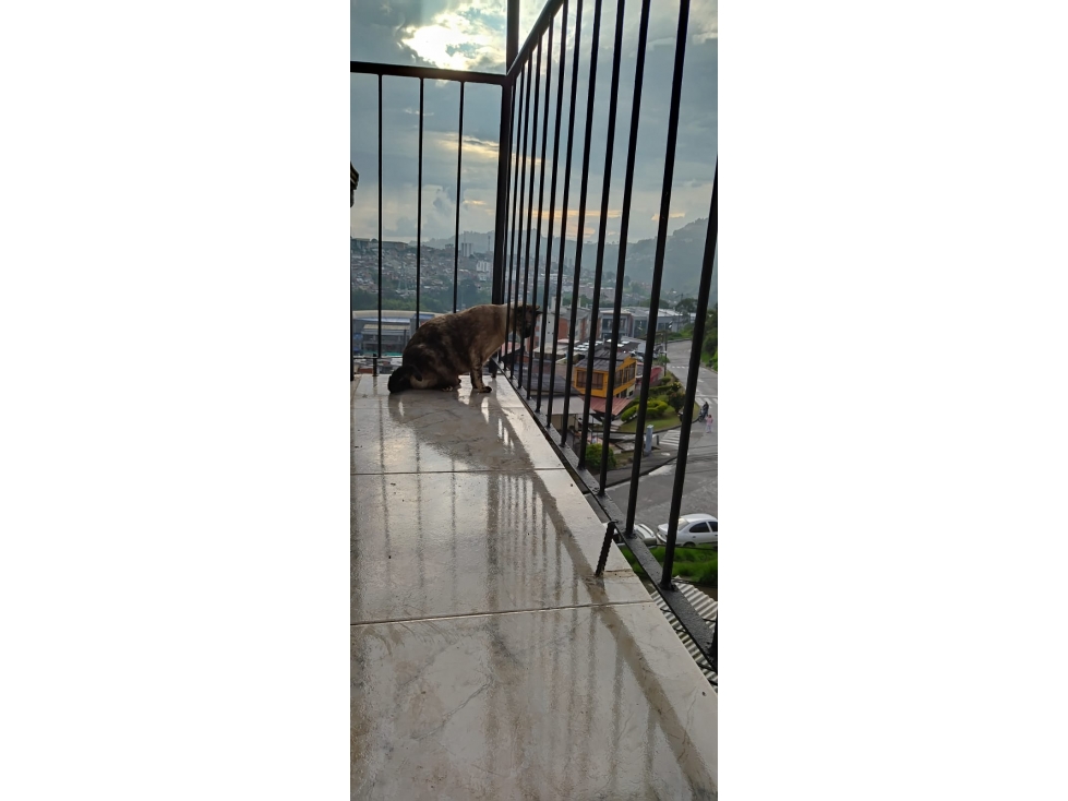 SE VENDE CASA CON RENTA EN EL BARRIO LAS COLINAS, MANIZALES. — foto 3