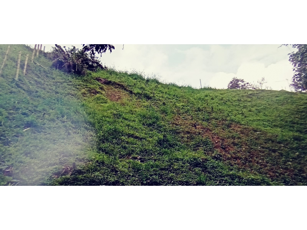 SE VENDE HERMOSO LOTE EN EL SECTOR DE SAN PEREGRINO. — foto 4