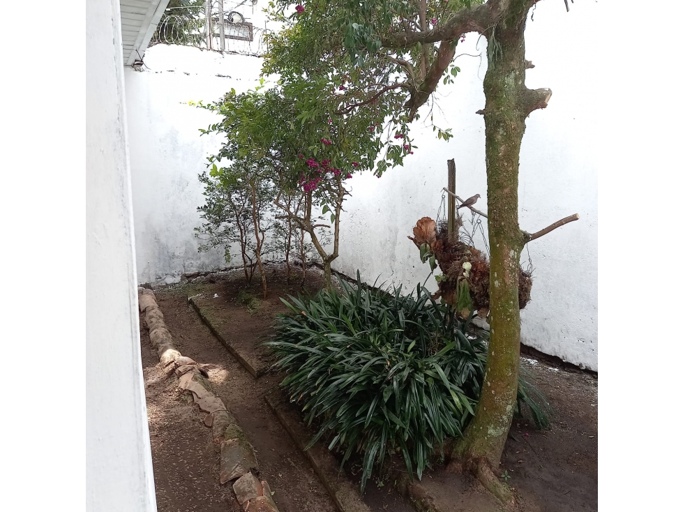 SE VENDE CASALOTE PARA PROYECTO EN VERSALLES, MANIZALES. — foto 4