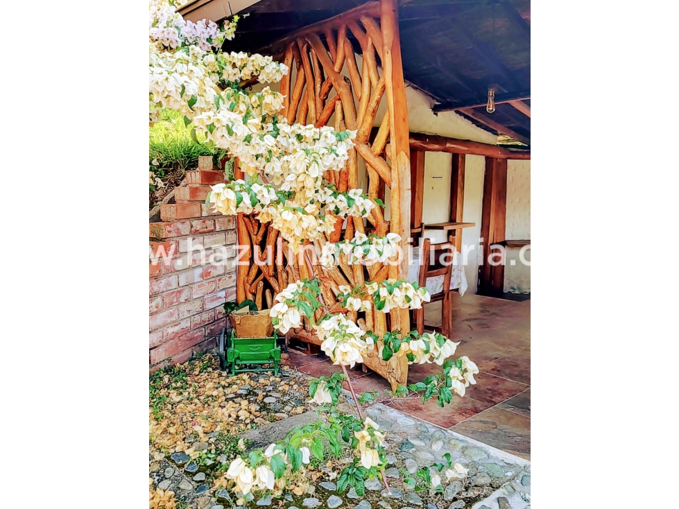 Venta de finca, Vereda la China Manizales, Caldas — foto 4