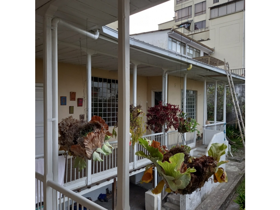 SE VENDE CASALOTE PARA PROYECTO EN VERSALLES, MANIZALES. — foto 5