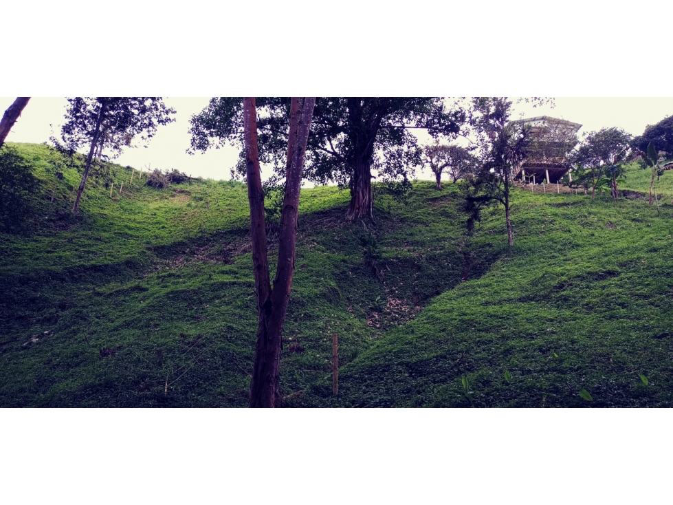 SE VENDE HERMOSO LOTE EN EL SECTOR DE SAN PEREGRINO. — foto 6