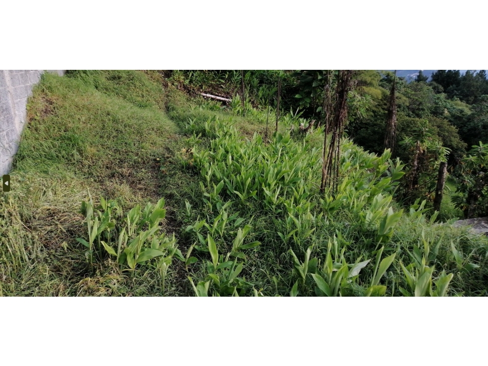 SE VENDE LOTE EN LA VEREDA LA PALMA, MANIZALES. — foto 4