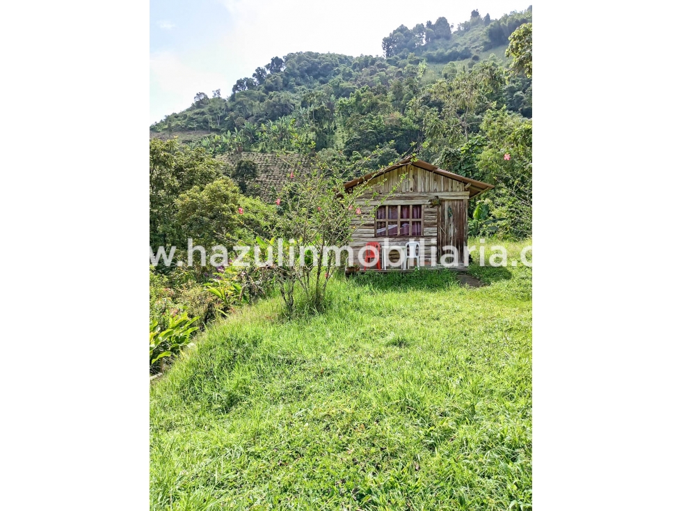 Venta Casa Campestre, Neira, Caldas - 6