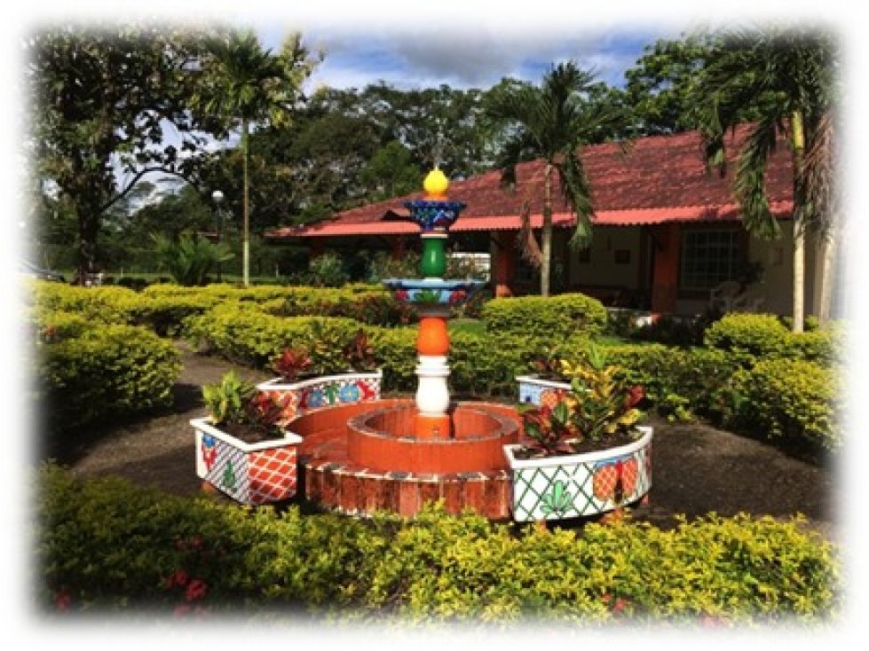 Vendo Finca Urbanizable en Villavicencio via Restrepo (IC) - 6