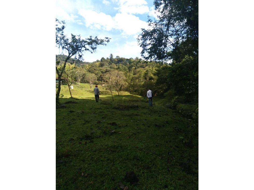 VENTA FINCA CALAMBEO iBAGUE - 2