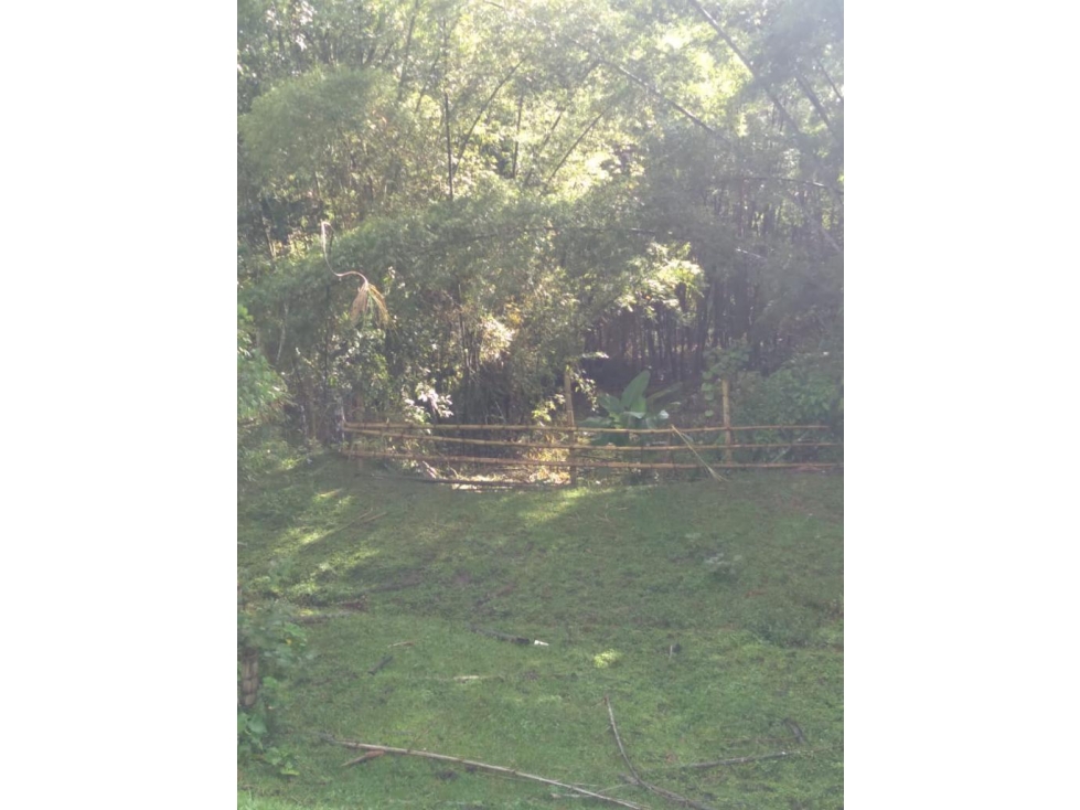 VENTA FINCA CALAMBEO iBAGUE - 3