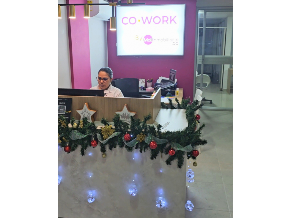 ALQUILER OFICINAS COWORKING IBAGUE - 2