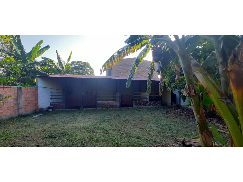 VENDO CASA LOTE EN PAYANDÉ, TOLIMA — foto 2