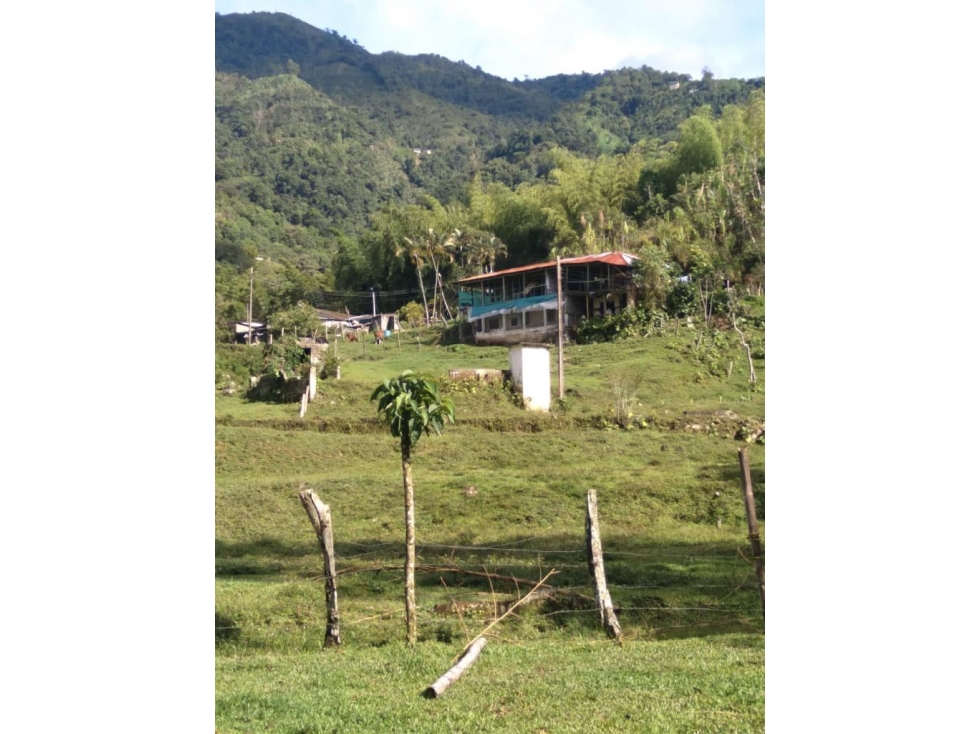 VENTA FINCA CALAMBEO iBAGUE - 1