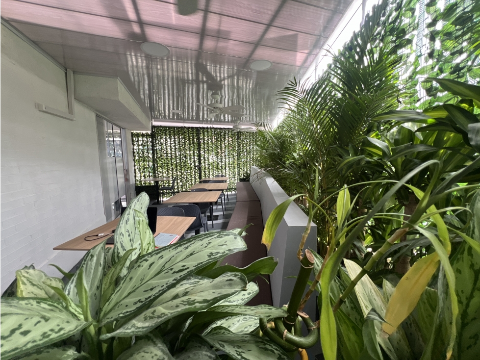 ALQUILER COWORKING ZONA VERDE IBAGUE - 3