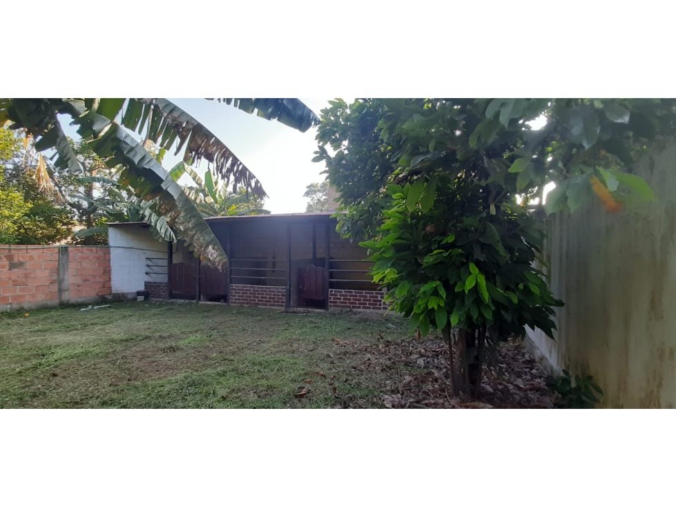 VENDO CASA LOTE EN PAYANDÉ, TOLIMA — foto 3