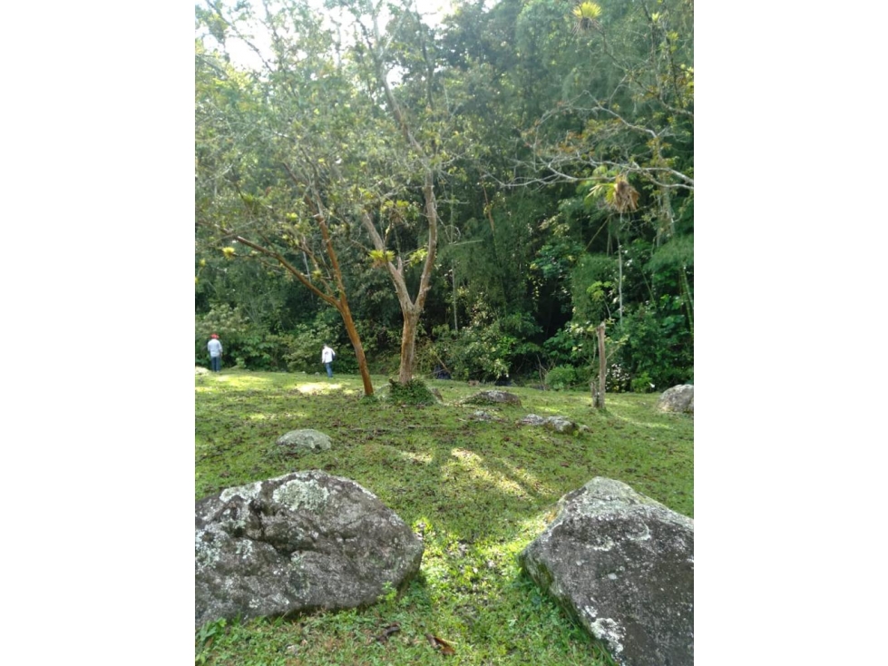 VENTA FINCA CALAMBEO iBAGUE - 4