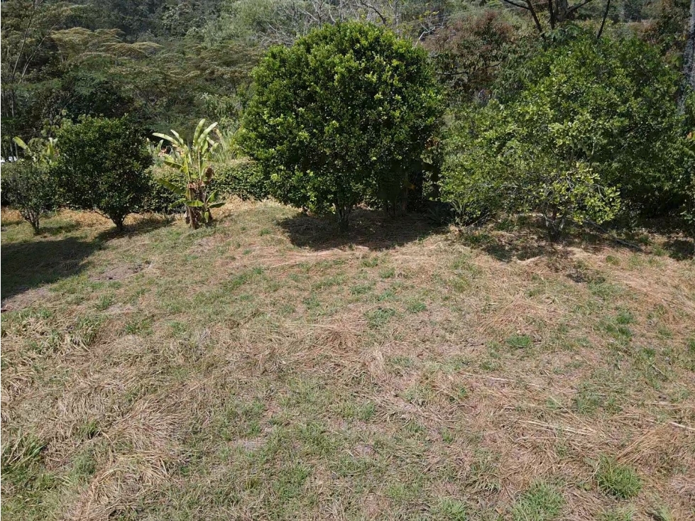 VENTA LOTE VEREDA SAN TERESA - 4