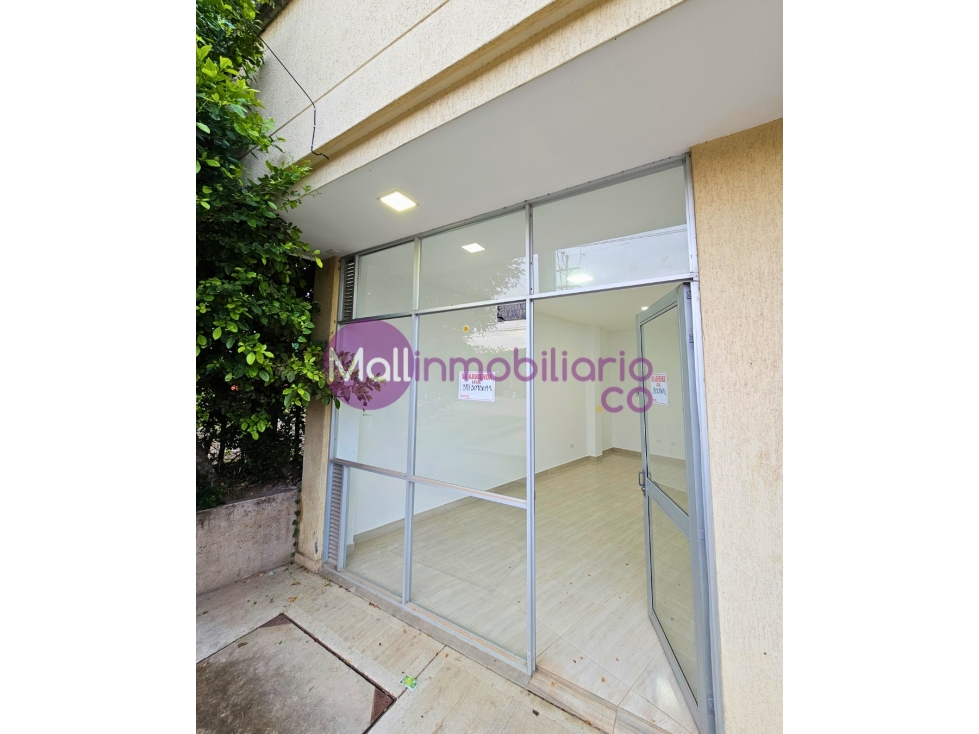 ARRIENDO LOCAL SALADO IBAGUE - 1