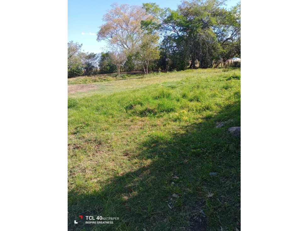 VENTA LOTE VEREDA MANANTIAL - CHUCUNI - 4