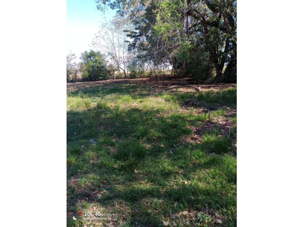 VENTA LOTE VEREDA MANANTIAL - CHUCUNI - 6