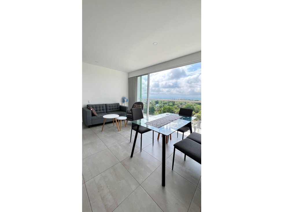 VENTA APARTAMENTO BOSQUE SERENO IBAGUE — foto 3