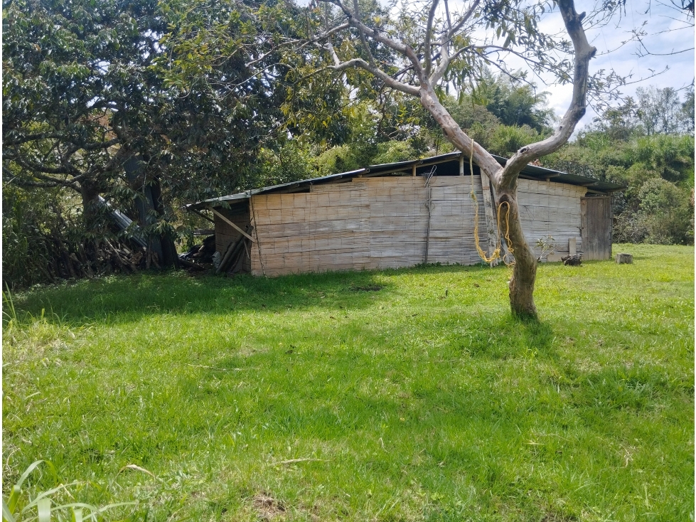Vendo Linda Casa de Campo Piendamo Los Alpes Cauca - 6