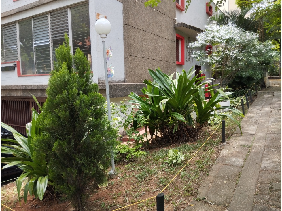 Alquilo Aparta-estudio San Fernando 101 por días 2 mínimo — foto 2