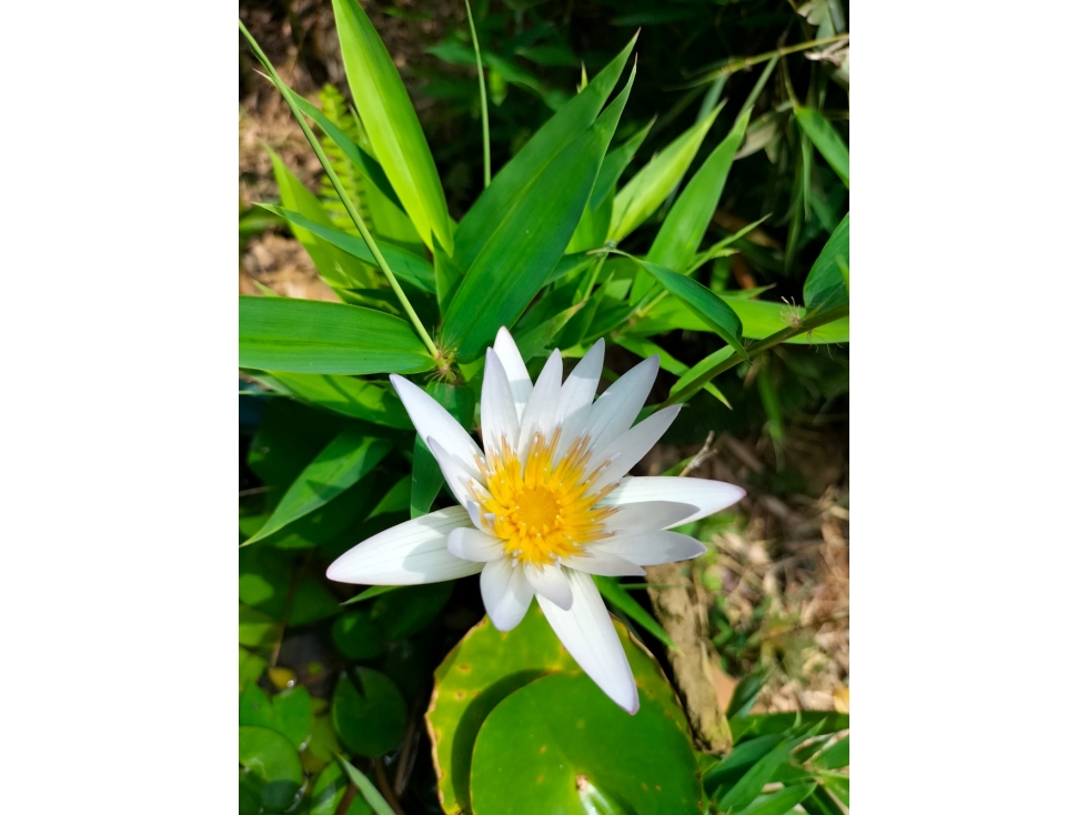 Vendo acogedora casa campestre cerca a Cristo Rey en Cali — foto 5