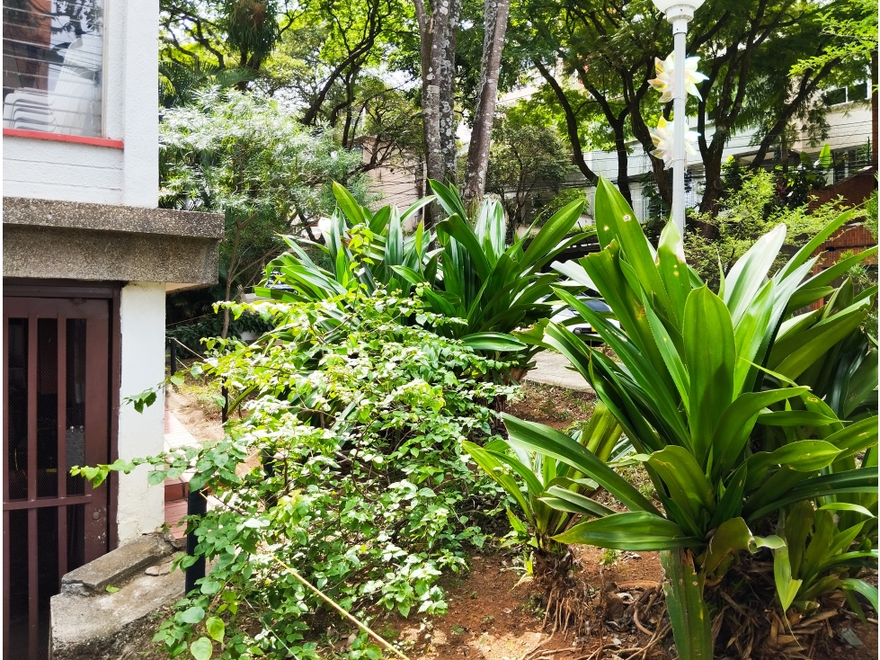 Coliving Habitaciones AYARANA SAN FERNANDO sur centro de Cali - 1
