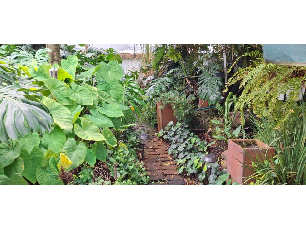 venta hermosa casa Niza Antigua — foto 6