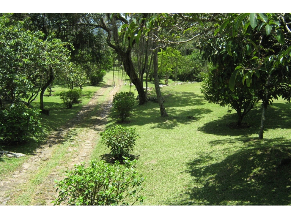 VENDO LOTE SILVANIA 2500M2 - 4