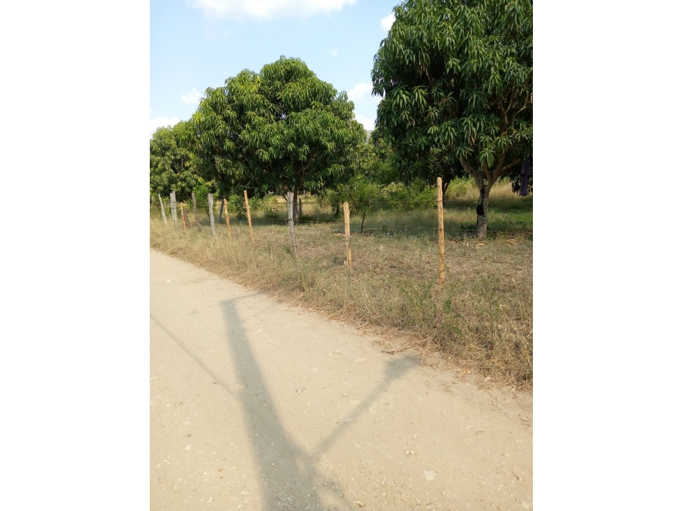 VENDO LOTE RICAURTE SECTOR LOS MANUELES $330.000.000 - 4