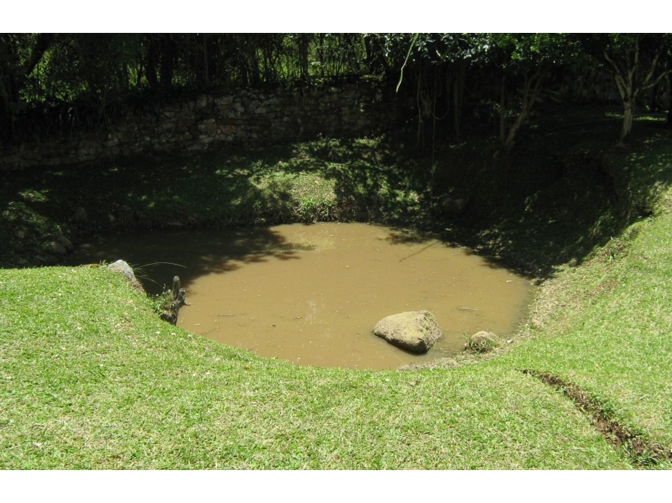 VENDO LOTE SILVANIA 2500M2 - 6