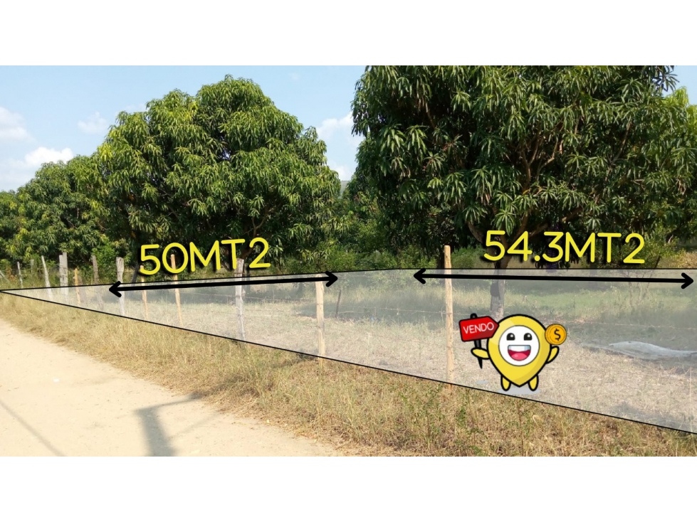 VENDO LOTE RICAURTE SECTOR LOS MANUELES $330.000.000 - 2