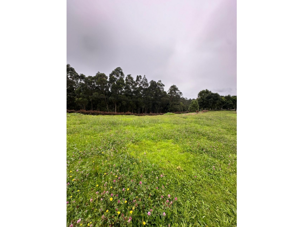 Vendo Lote en Facatativa - $330.000.000 - 4