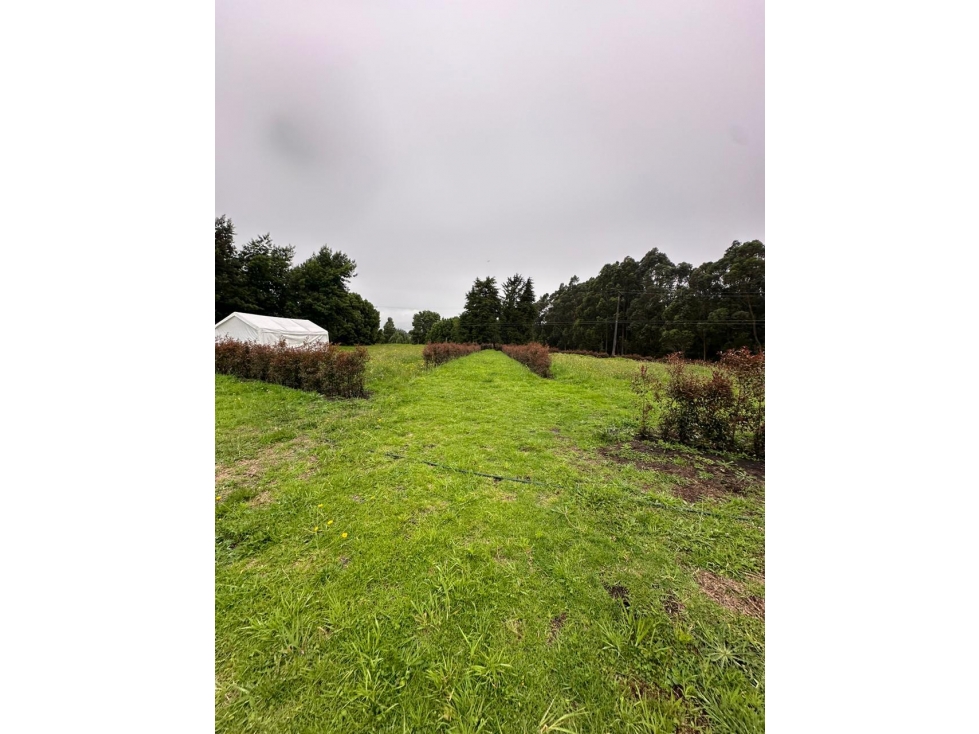 VENDO LOTE EN FACATATIVA DE 3,800metros - 4