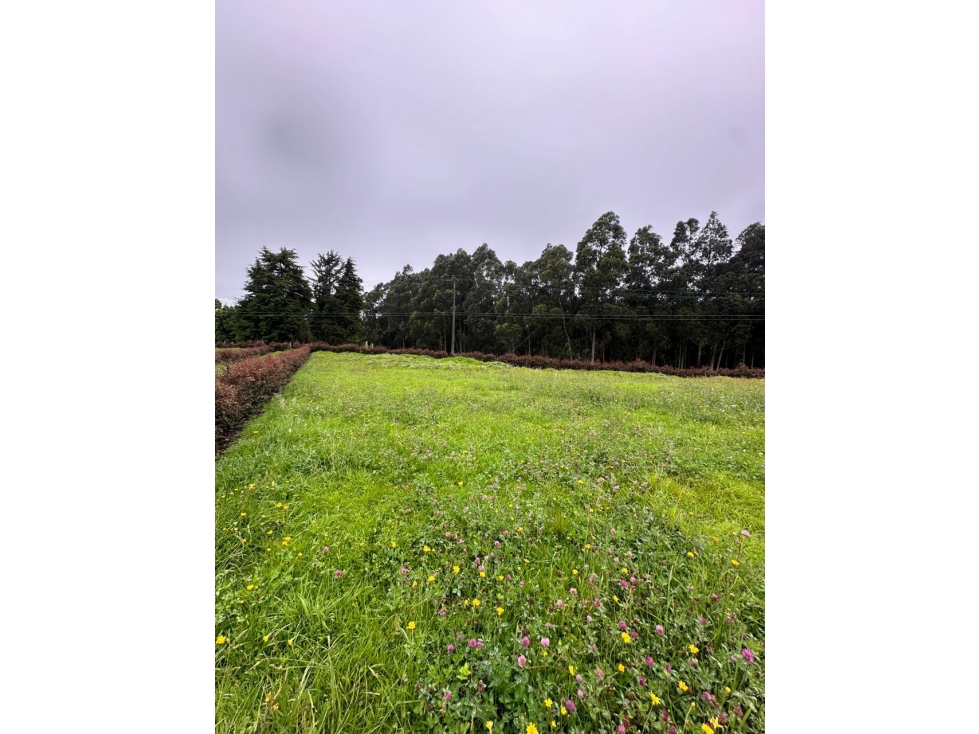VENDO LOTE EN FACATATIVA DE 3,800metros - 5