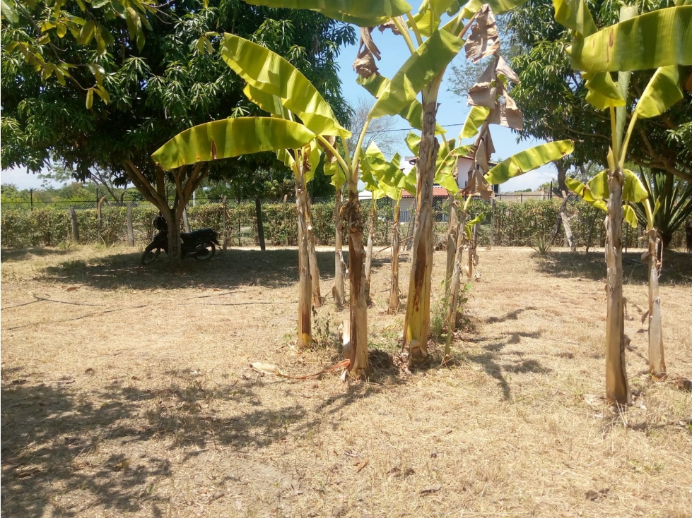 VENDO LOTE RICAURTE SECTOR LOS MANUELES $330.000.000 - 5