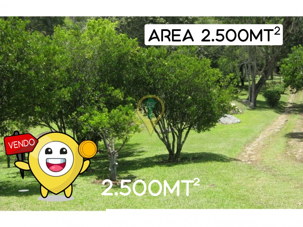 VENDO LOTE SILVANIA 2500M2 - 1