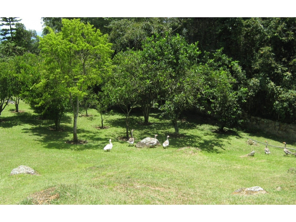 VENDO LOTE SILVANIA 2500M2 - 2
