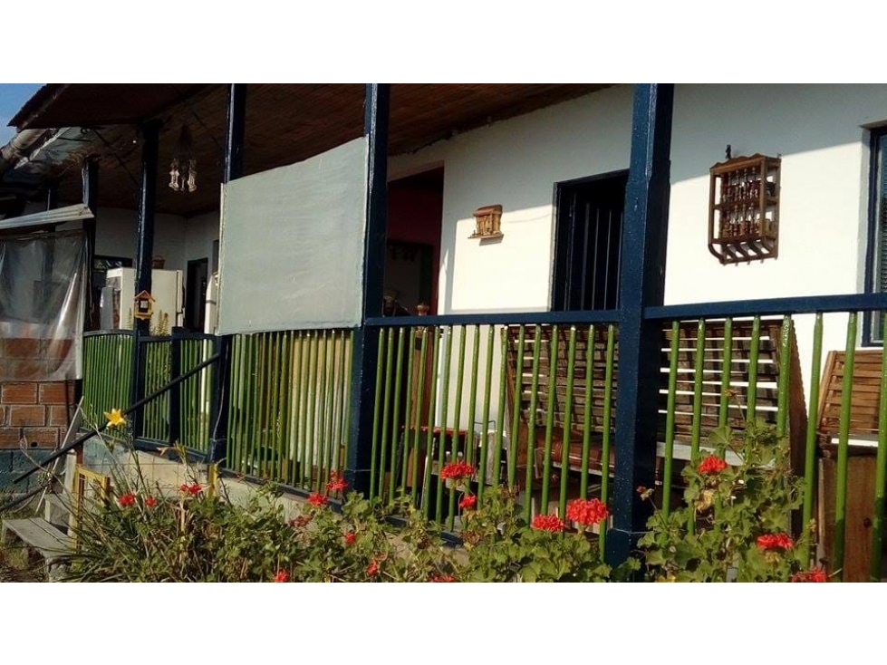VENTA CASA FINCA EN VEREDA ARGELIA BAJA — foto 3
