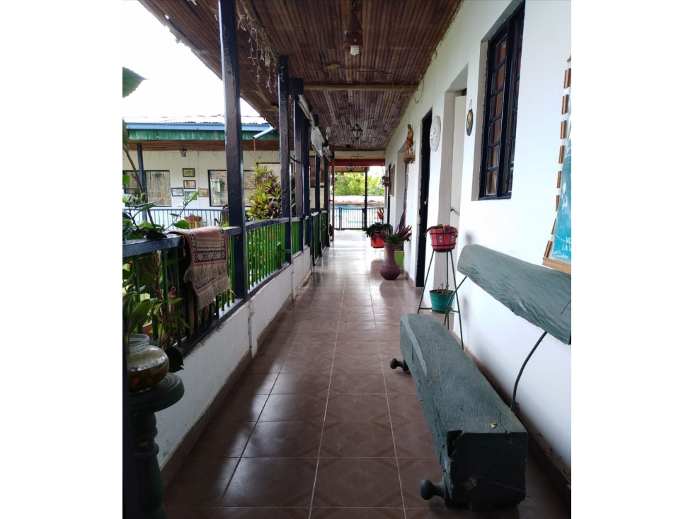 VENTA CASA FINCA EN VEREDA ARGELIA BAJA — foto 4