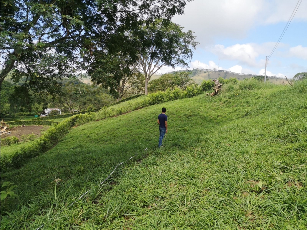 Venta de Lote Campestre en Conjunto Makadamia Casas Campestres - 4