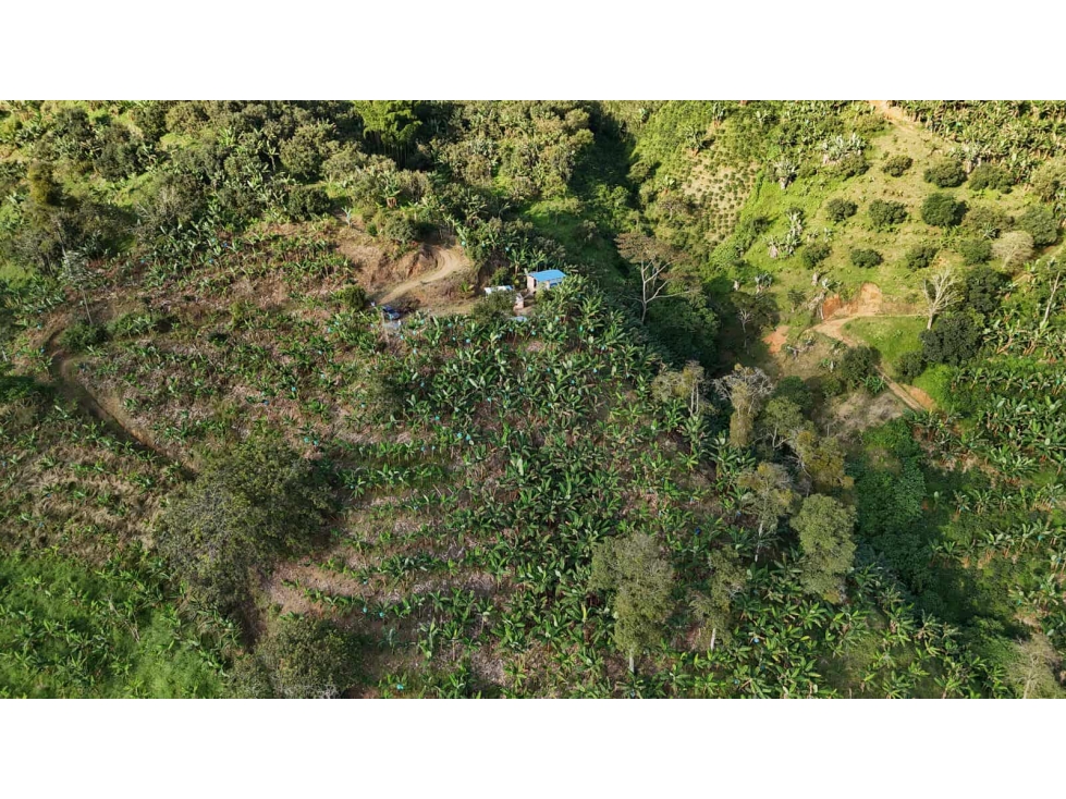 LOTE EN VENTA MUNICIPIO DE BELALCAZAR - 2