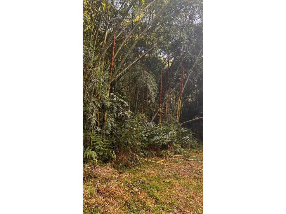 LOTE EN VENTA CONJUNTO PALOSANTO — foto 3