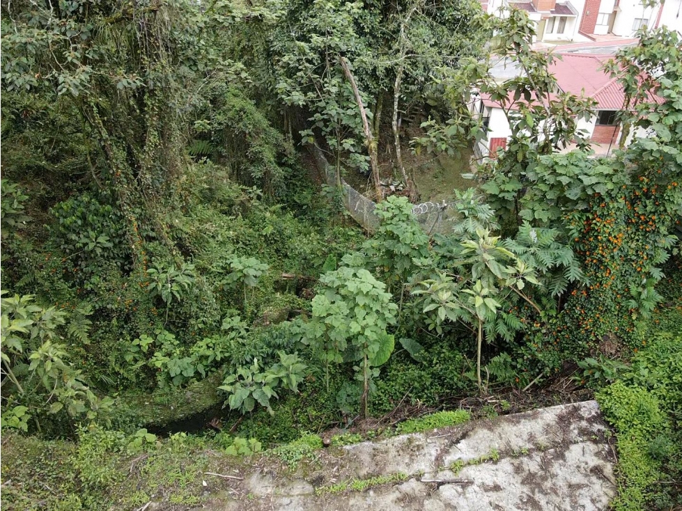 VENTA LOTE LA RAMBLA , MANIZALES — foto 2